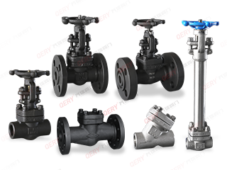 锻钢阀门系列